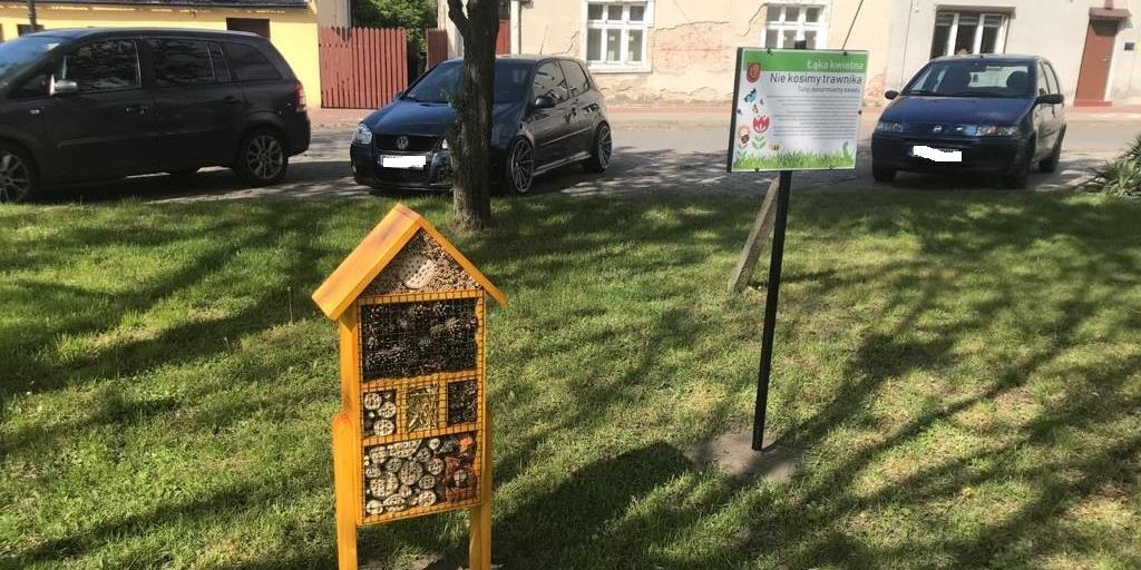 Wąbrzeźno. Budki dla owodów – ul. Chełmińska