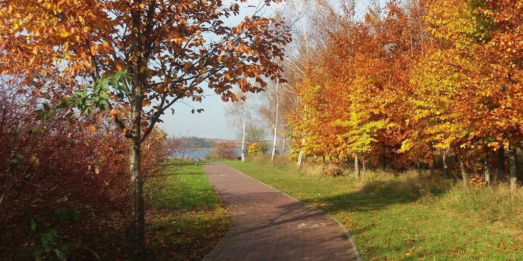 Wąbrzeźno. Fragment ścieżki rowerowej wzdłuż Jeziora Zamkowego.Fot. A.Borowska