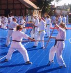 Zdjęcie walczących karateków