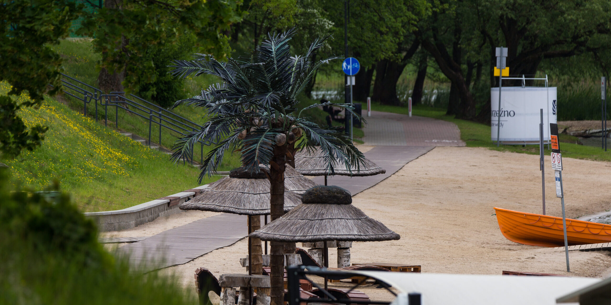 #Wąbrzeźno w kwiatach (35)