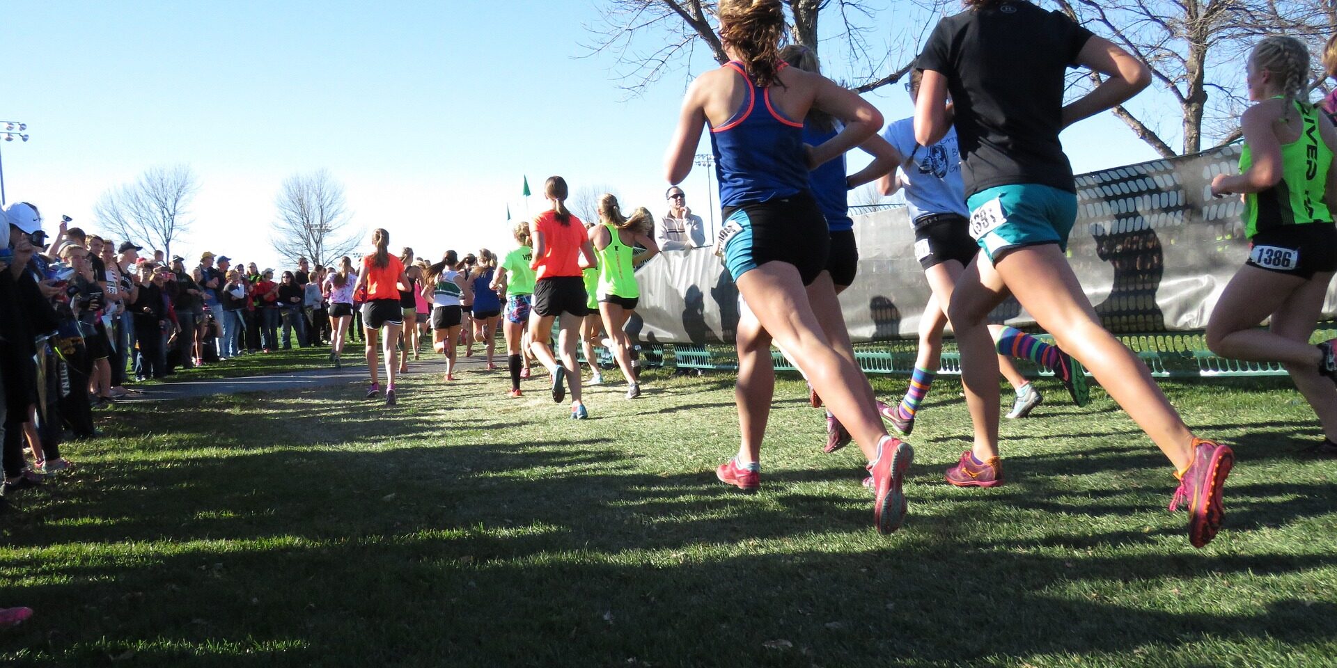 runners-g10af73172_1920 Obraz farmama z Pixabay