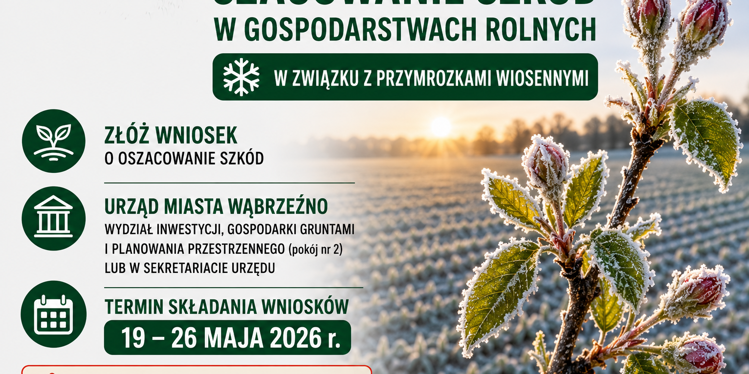 wiosenne przymrozki