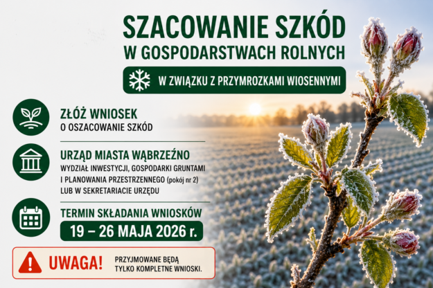 wiosenne przymrozki